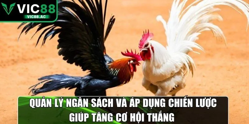 Quản lý ngân sách và áp dụng chiến lược giúp tăng cơ hội thắng