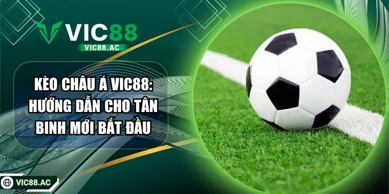 Kèo Châu Á VIC88: Hướng Dẫn Cho Tân Binh Mới Bắt Đầu