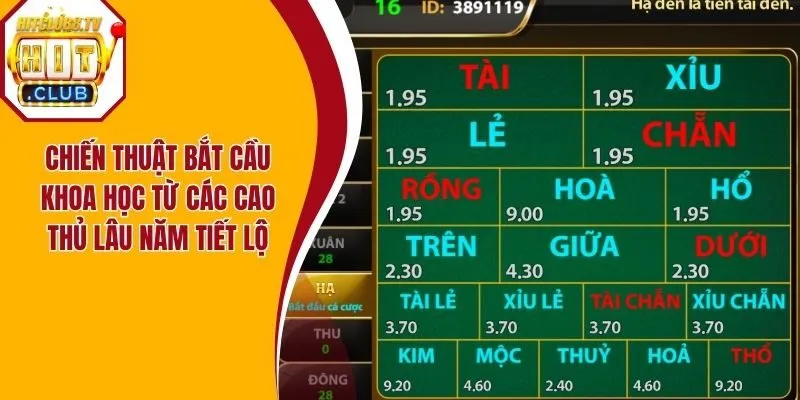 Chiến thuật bắt cầu khoa học từ các cao thủ lâu năm tiết lộ