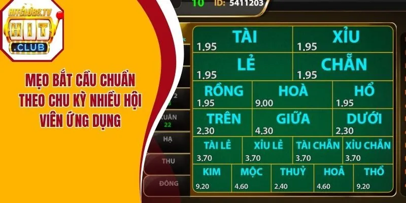Mẹo bắt cầu chuẩn theo chu kỳ nhiều hội viên ứng dụng